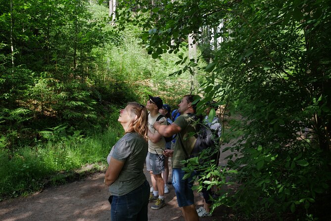3 in 1 Tour Brewery & Castle in Bohemian Paradise Unesco Geopark - Why this day trip works after Prague