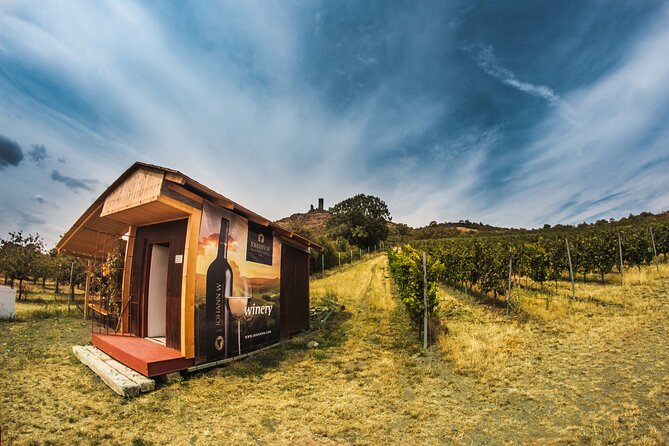 A delightful wine tasting in the scenic countryside with lunch - Off-road routes through volcanic country