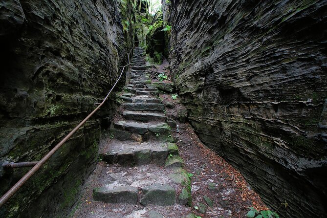 Bohemian Switzerland From Prague with Brewery Tour & Beer Tasting - Czech lunch with a choice of main course