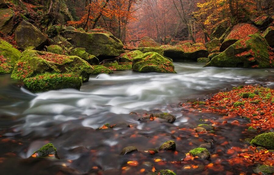 Bohemian Switzerland: Private Day Trip from Prague - The private format earns its keep