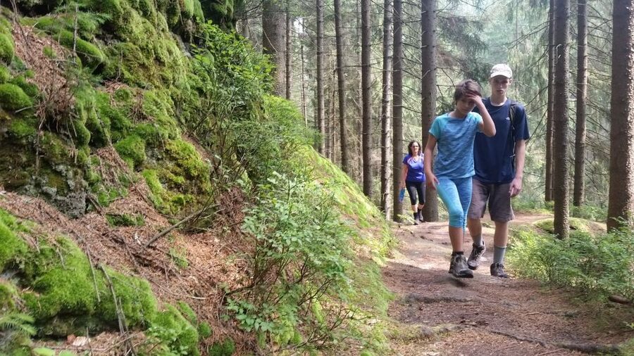 Bohemian Switzerland: Private Day Trip from Prague - Hřensko, a useful pause in the day