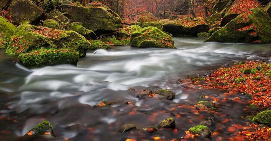 Bohemian Switzerland: Private Day Trip from Prague - FAQ