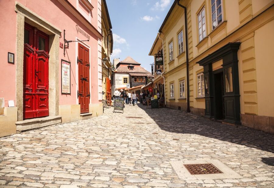 Bone Church and Kutna Hora Private Tour from Prague - Who should book this Kutná Hora tour?