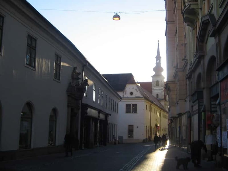 Brno: Historic Downtown Walking Tour - New Town Hall and the House of the Noblemen of Leipa
