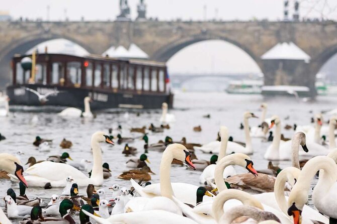 Charles Bridge: River Boat Cruise & Guided Tour ️with PragueWay - Mulled wine, beer, and a slower view