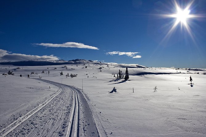 Cross-Country Skiing Guided Tour From Prague - Why This Prague Day Trip Works