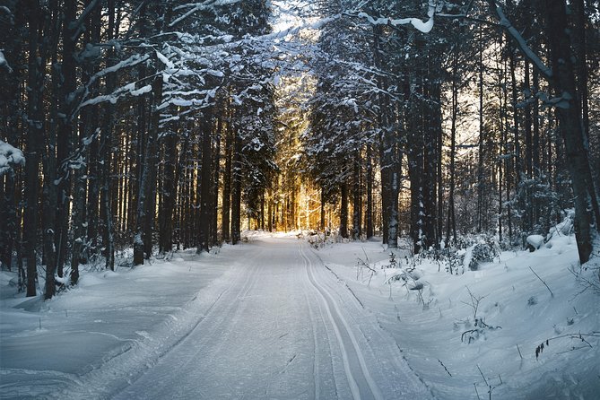 Cross-Country Skiing Guided Tour From Prague - Returning To Prague Around 6 pm