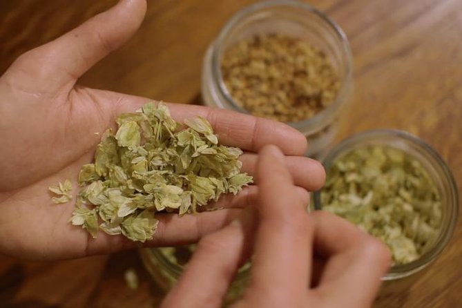 Czech Beer Tasting Experience - What the beer selection is really like