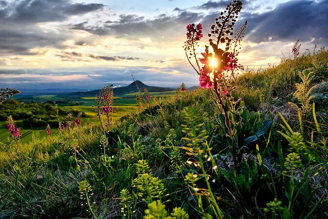Czech garnet panning, scenic drive, farm & cheese, lunch & beer - What The Guides Add To The Day