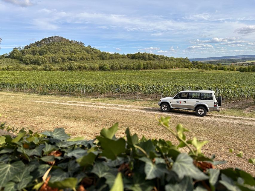 Czech Vineyards and Wine Tasting 4WD Tour with Lunch - Should you book the Czech Vineyards and Wine Tasting 4WD Tour?