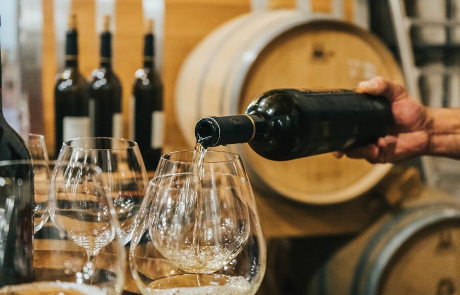 Czech Vineyards and Wine Tasting 4WD Tour with Lunch - Vineyards, volcanic hills, and five gothic castles