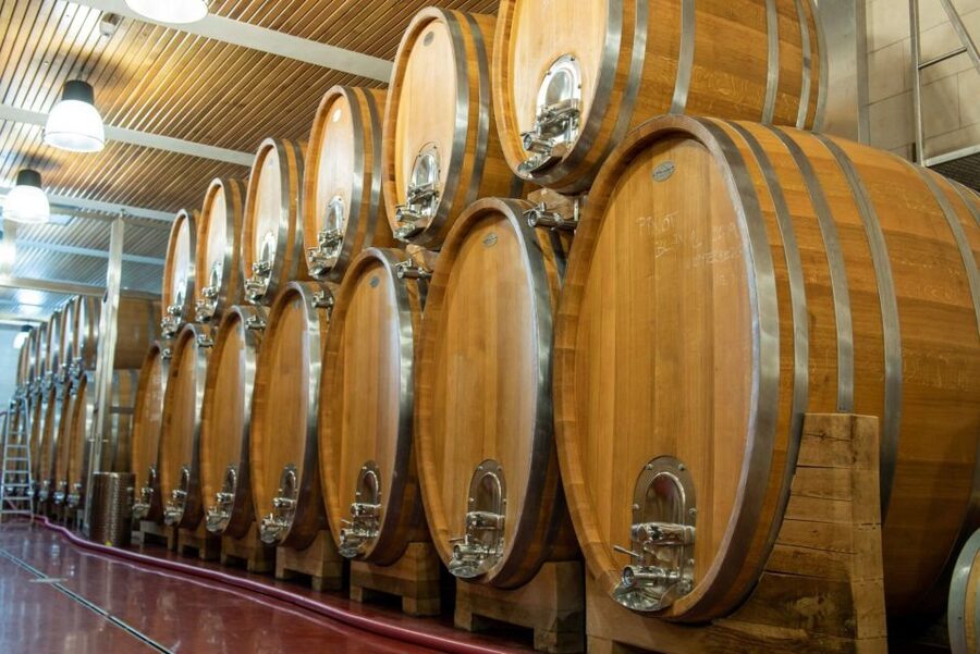 Czech Vineyards and Wine Tasting 4WD Tour with Lunch - A Czech lunch with beer and a wide view