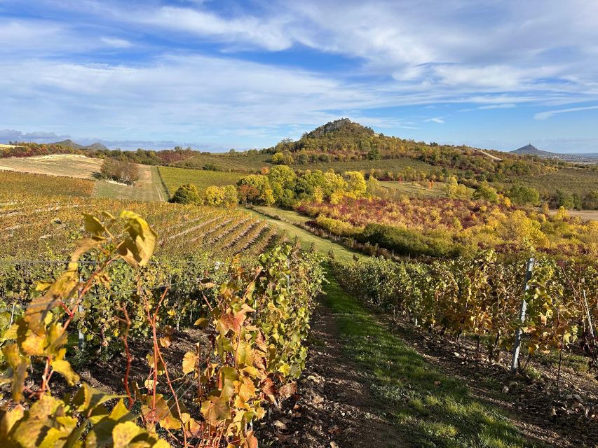 Czech Vineyards and Wine Tasting 4WD Tour with Lunch - How the $387 price measures up