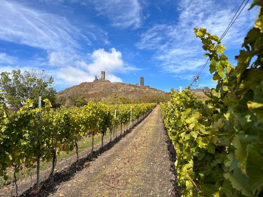 Czech Vineyards and Wine Tasting 4WD Tour with Lunch - Tips for getting more from the experience