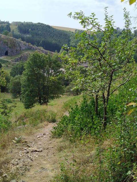 Discover Moravian Karst: Seven Stops, One Tailored Tour - Starting in Brno with an easy pickup