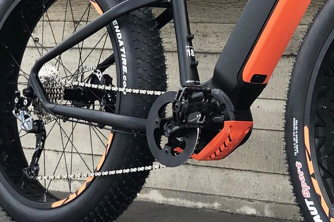 FAT TIRE E-BIKE GREAT TOUR - river, parks & panoramic views tour - The Old Jewish Cemetery and Astronomical Clock