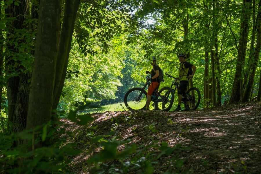 From Prague: E-Mountain Biking Trip to the Bohemian Paradise - Who should book this active day?