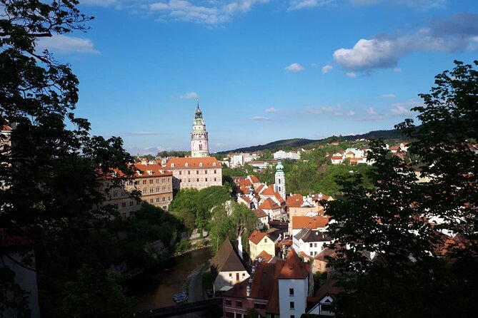 Full Day Cesky Krumlov Private Tour from Prague - Food, rest stops, and the value of flexibility