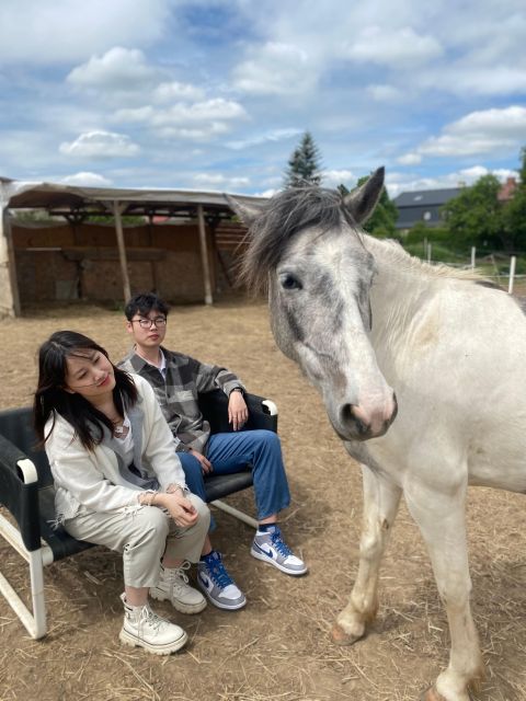 Horseback riding tour near Prague - Quick take: 6 things to know before booking