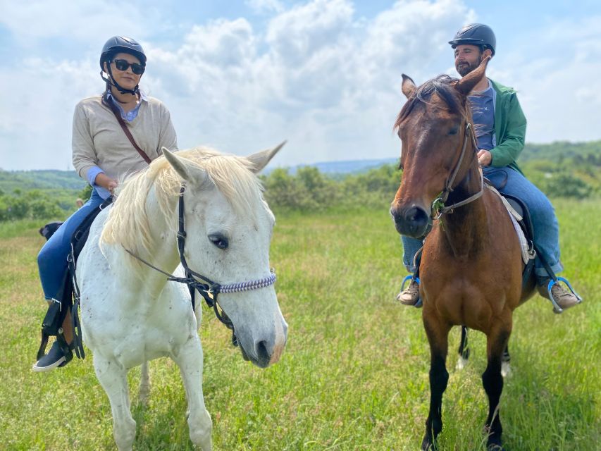 Horseback riding tour near Prague - What $92 buys you