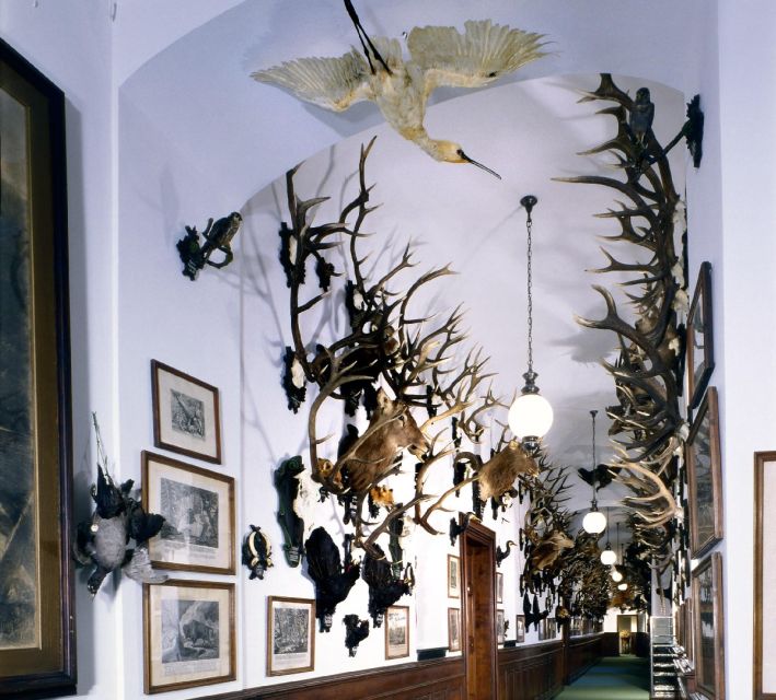 Konopiště: Chateau Tour from Prague - Inside Konopiště: rooms, weapons, and hunting trophies