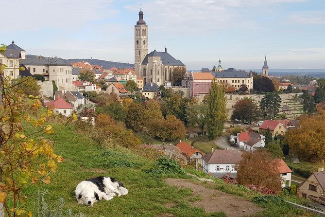 Kutná Hora and Bone church - private tour with PERSONAL PRAGUE GUIDE - Why Kutná Hora makes a smart side trip from Prague