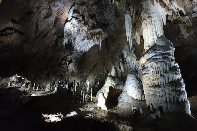 Moravian Carst And Brno Private Tour From Prague - Who will enjoy this day most?