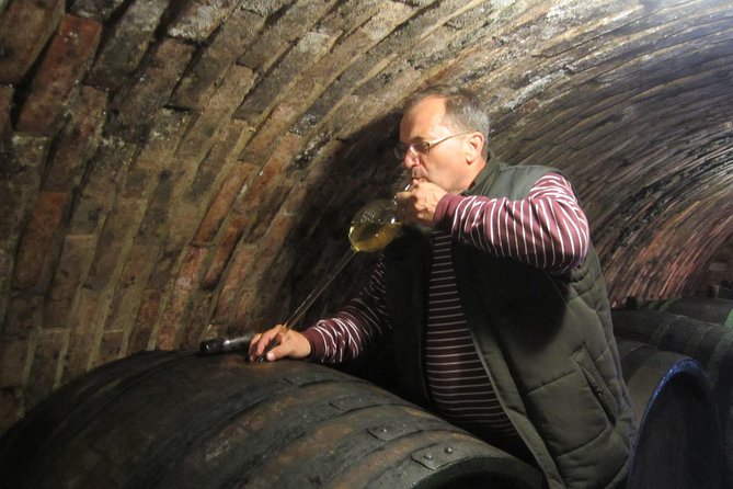 Moravian wine trails - Lednice and the Liechtenstein vision