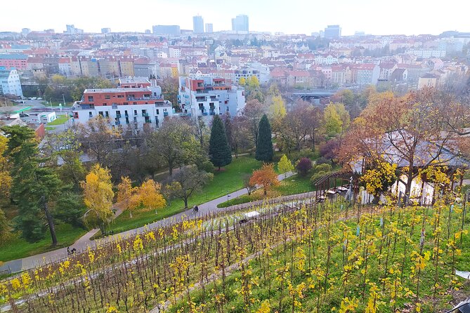 Non-touristy Prague - Cozy Neighborhoods - Private Tour - Grébovka and Prague’s vineyard park