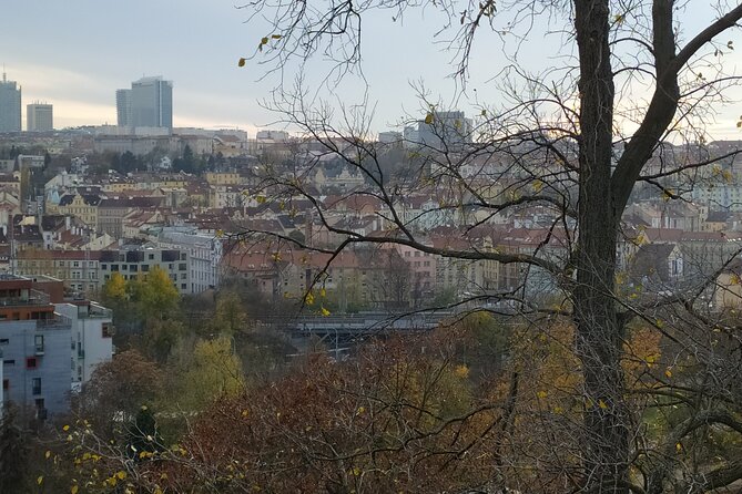 Non-touristy Prague - Cozy Neighborhoods - Private Tour - New Town and the edge between past and present