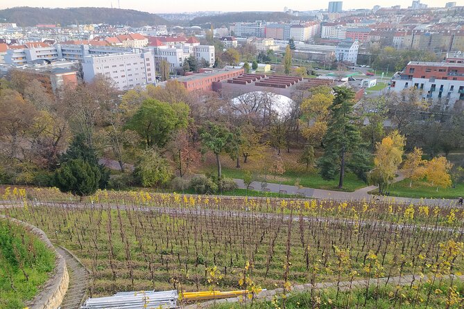 Non-touristy Prague - Cozy Neighborhoods - Private Tour - Folimanka Park and the Botič stream