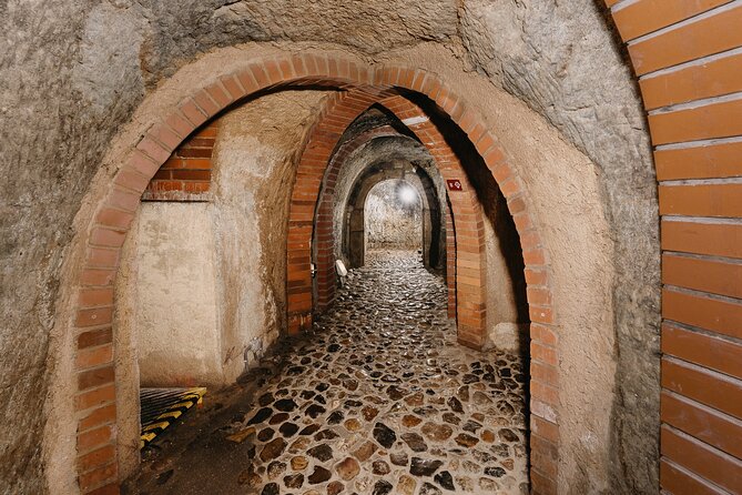 Pilsen Historic Underground Tour with a Glass of Beer - Key points to know before you go