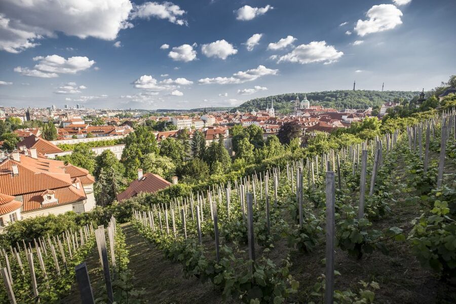 Prague: 3–Hour Castle Grounds Walking Tour and River Cruise - Cruising the Vltava toward the Devil’s Stream