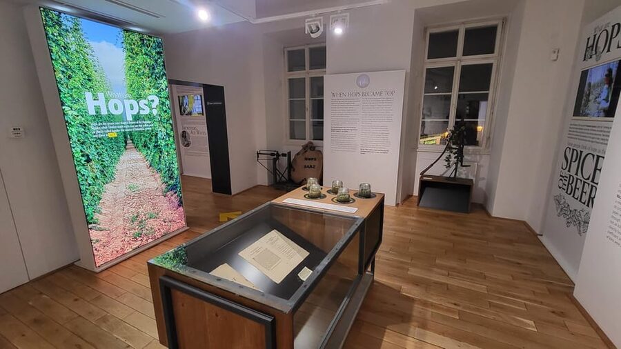 Prague: Beer Museum Tour with Tasting and Beer Bottling - Who should book this Prague beer experience?