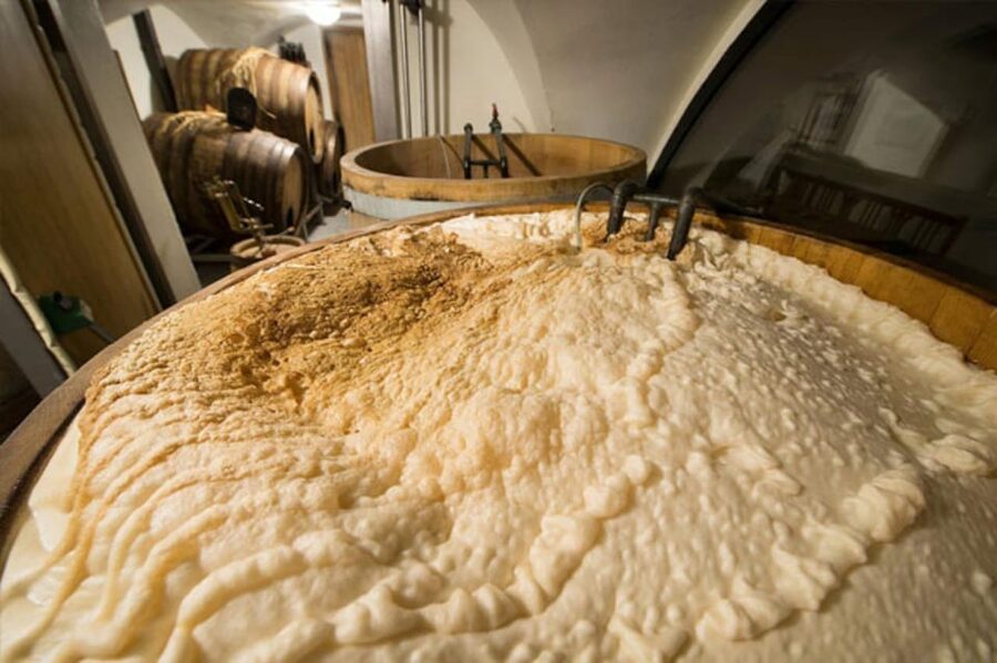Prague: Beer Tasting and Brewery Tour - New Town Hall adds a second city pause