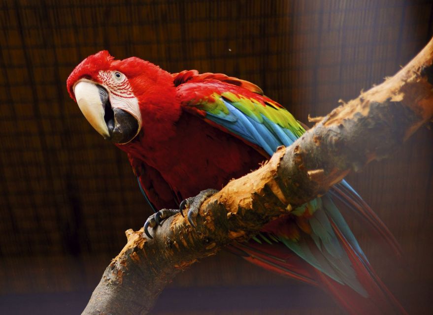 Prague: Boat Ride to the Zoo and Admission Ticket - Is $74 good value?