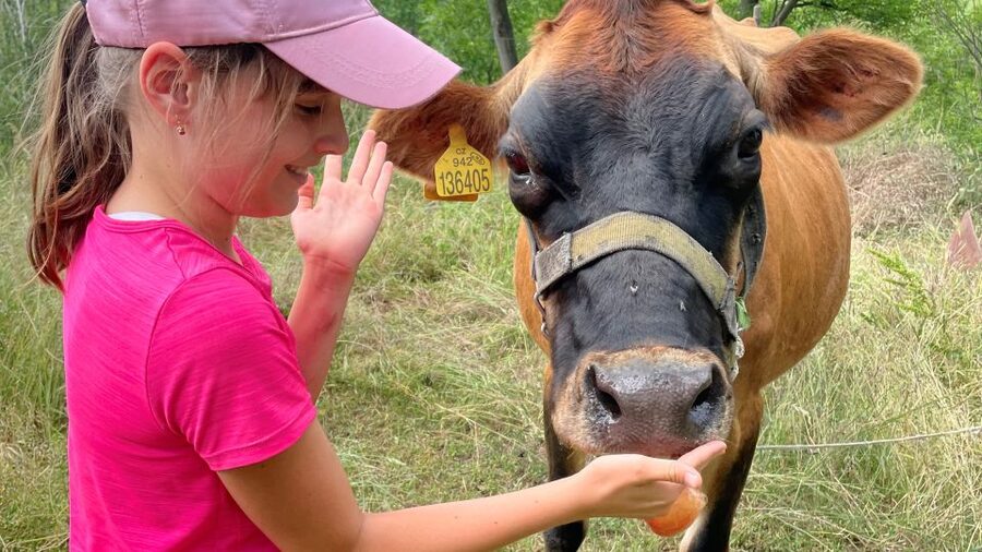 Prague: Bohemian Uplands Garnet Panning&Animal Farm 4WD Tour - What the $283 Price Covers
