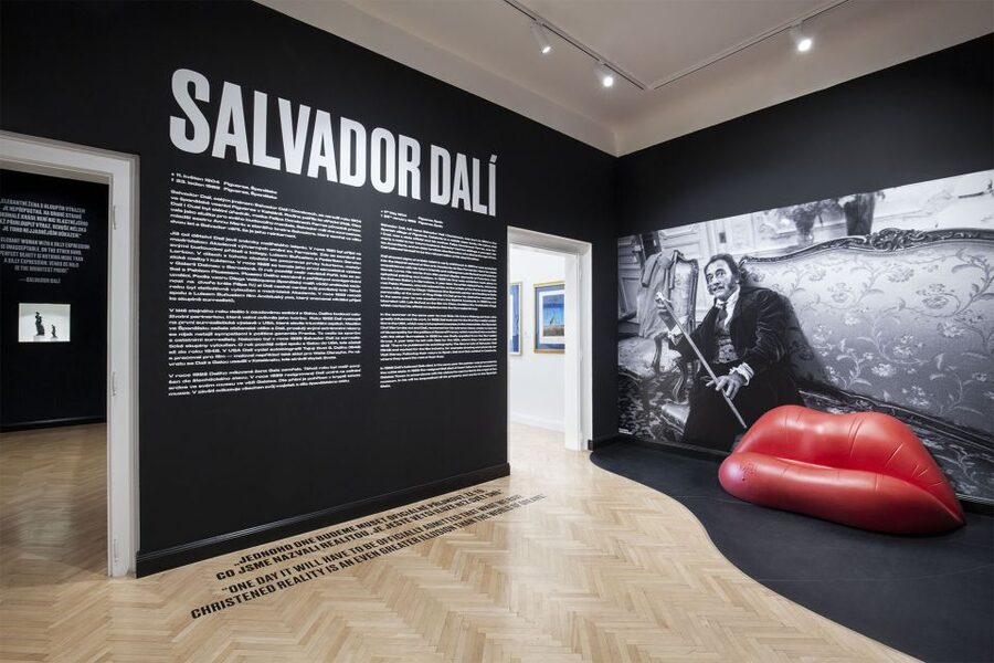 Prague: Central Gallery Ticket with Two Exhibitions - Salvador Dalí and the pull of surrealism