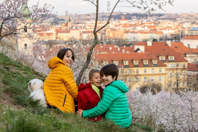 Prague City Highlights Private Tour for Kids and Families - What the $242.15 price means for your family