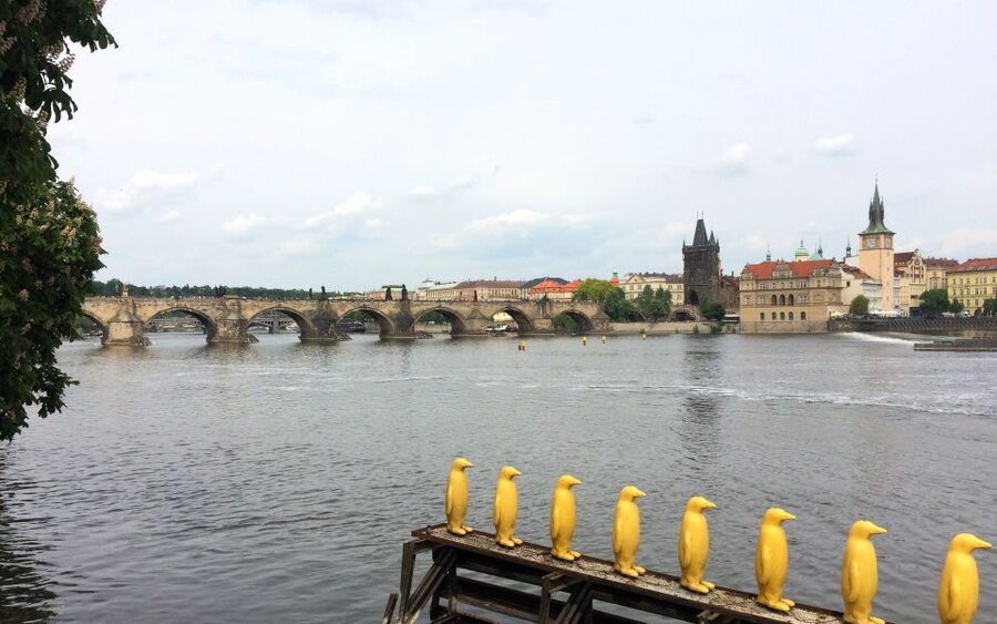 Prague: Classic City Bike Tour - Municipal House and New Town: Prague’s grand opening act