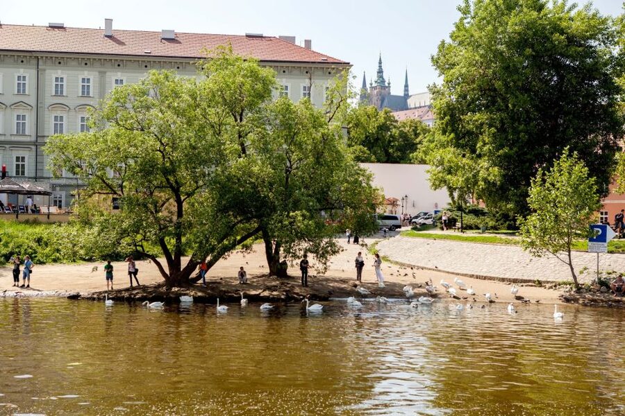 Prague Cruise: 1-Hour on the River Vltava - Prague Castle on the hill
