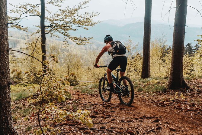 Prague E-Mountain Biking Adventure In The Bohemian Paradise - Valdstejn Castle and a Lunch with History