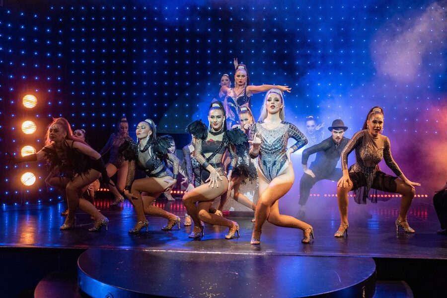 Prague: Evening Czech Cabaret Show at the Hybernia Theater - Is the $57 ticket good value?