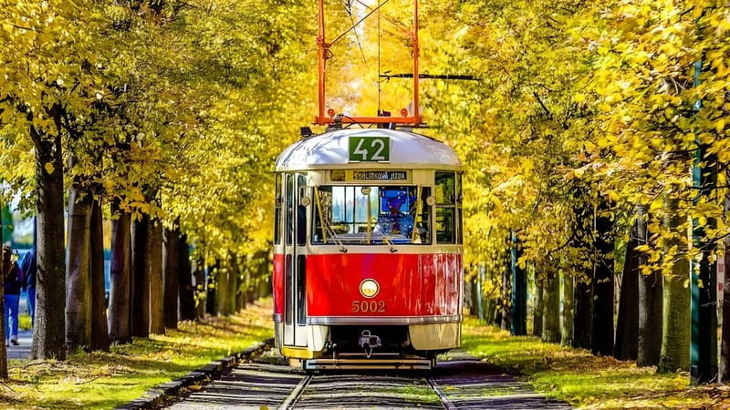 Prague: Full-Day Guided Tour of Prague in a Small-Group - Who should choose this Prague tour?