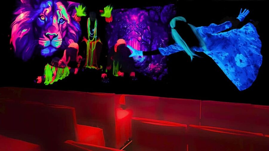 Prague: Images of Love Black Light Theatre Show - Practical ways to get more from the show