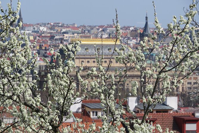 Prague Literary & Historical Tours - Literature Route - U Zlatého tygra begins with Prague’s living literary culture