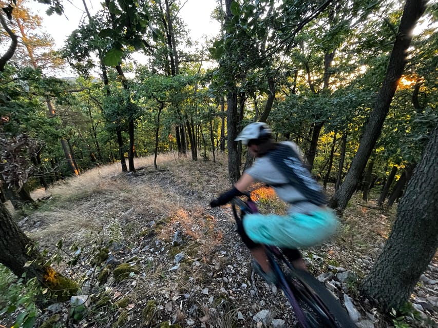 Prague Mountain Biking: Blast Through The Best Singletracks - Forest singletracks and Berounka River viewpoints