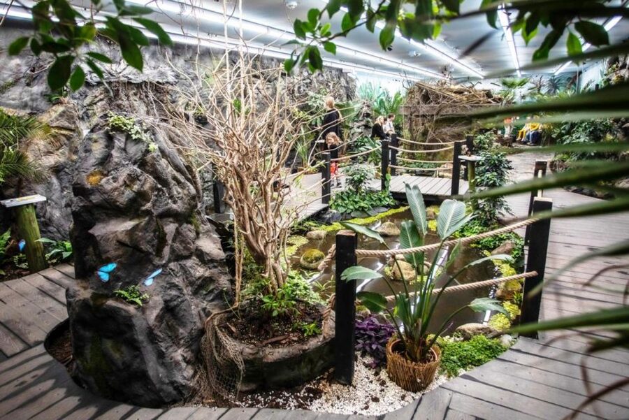 Prague: Papilonia Butterfly House - Is the $9 ticket good value?
