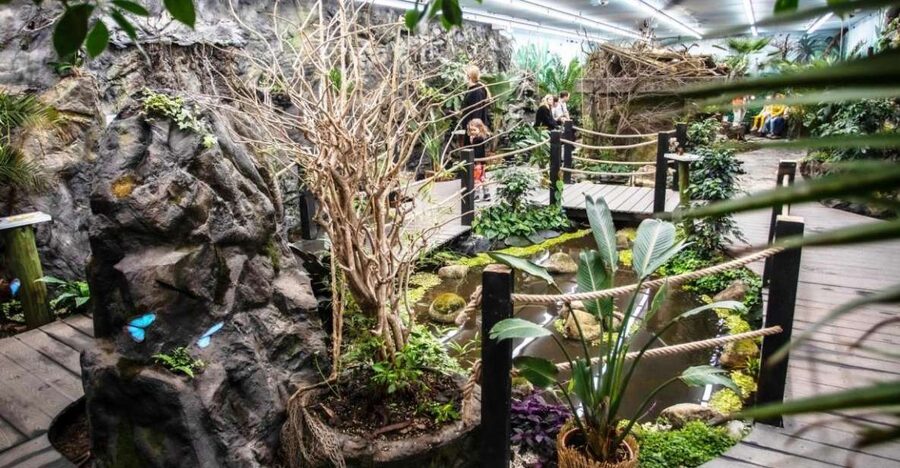 Prague: Papilonia Butterfly House - Butterflies from six tropical regions