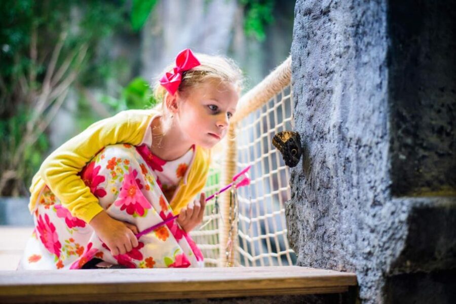Prague: Papilonia Butterfly House - Size, crowding, and the honest trade-off